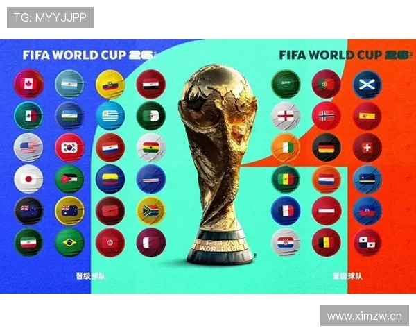 世界杯16强席位回顾：法国、巴西、加拿大率先过关